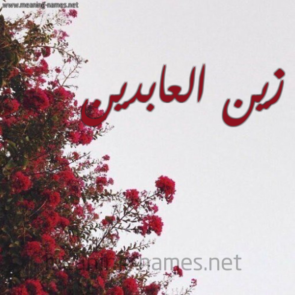 شكل 18 صوره الورد الأحمر للإسم بخط رقعة صورة اسم زين العابدين Zyn-Al-Abdyn
